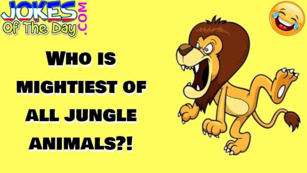 Funny Joke - Who is mightiest of all jungle animals - jokesoftheday com