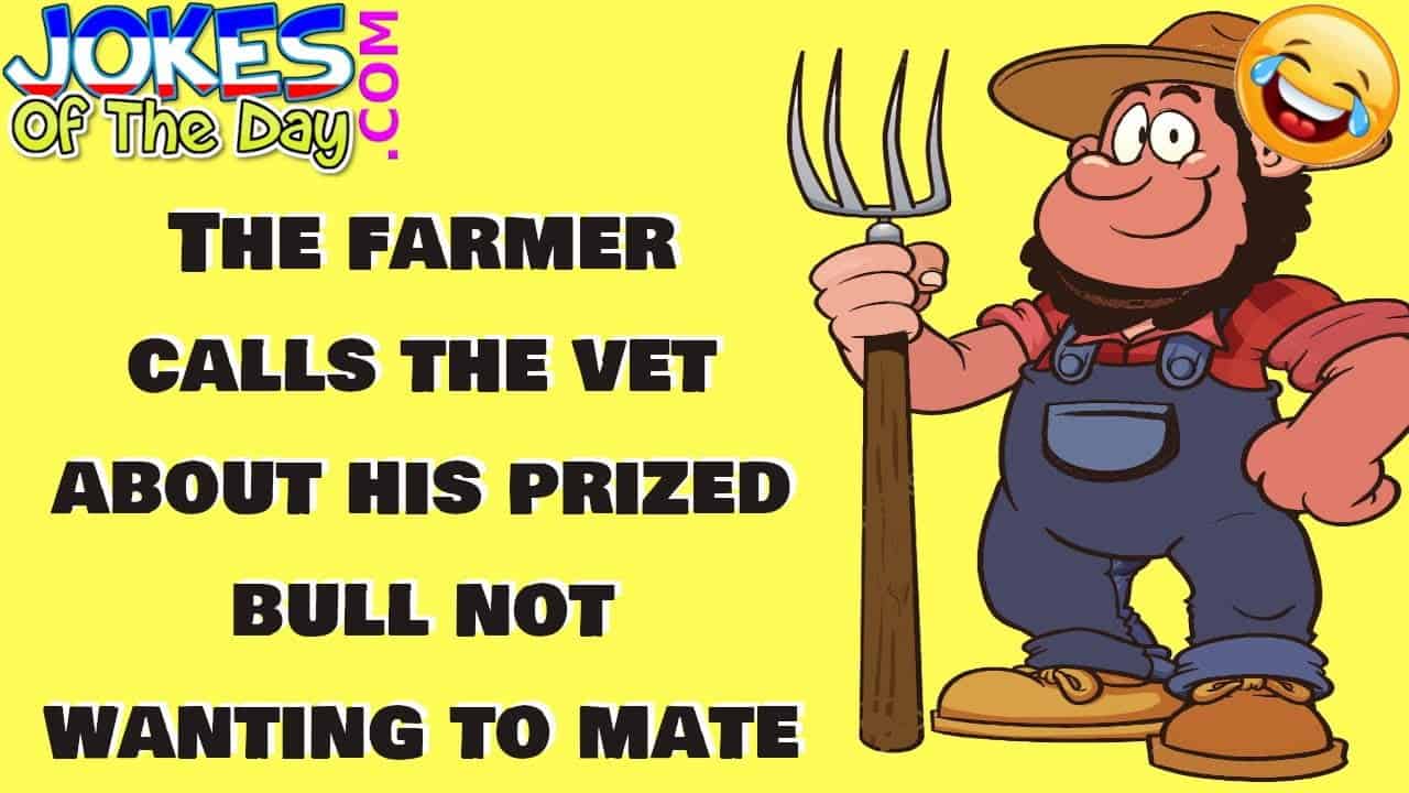 Funny Joke: The farmer calls the vet about his prized bull not wanting ...