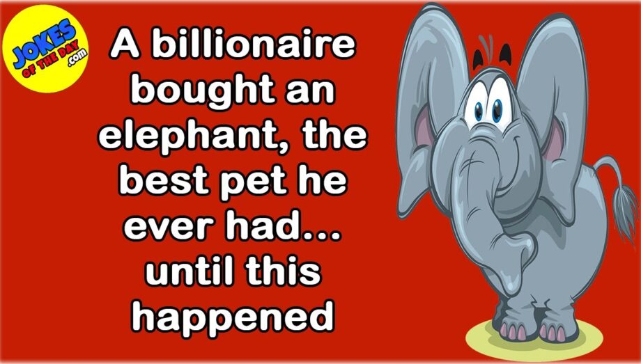 Funny Joke: A billionaire bought an elephant, the best pet he ever had... until this happened