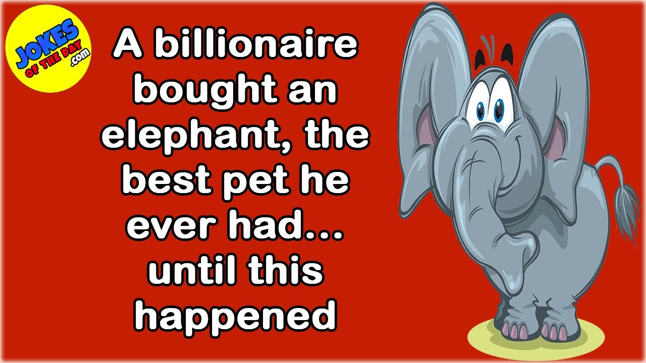 Funny Joke: A billionaire bought an elephant, the best pet he ever had... until this happened