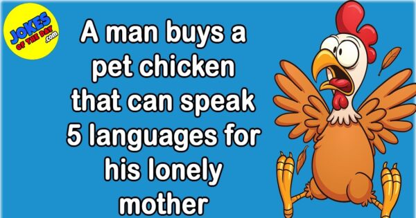 Funny Joke: A man buys a pet chicken that can speak 5 languages ...