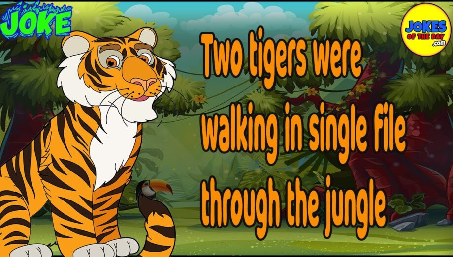 Funny Joke: Two tigers were walking in single file through the jungle