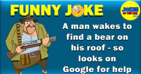 Funny Joke: A man wakes to find a bear on his roof – so looks on ...