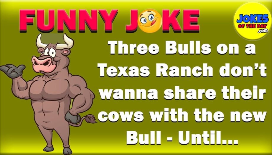 Funny Joke: Three Bulls on a Texas Ranch don’t wanna share their cows with the new Bull - Until...