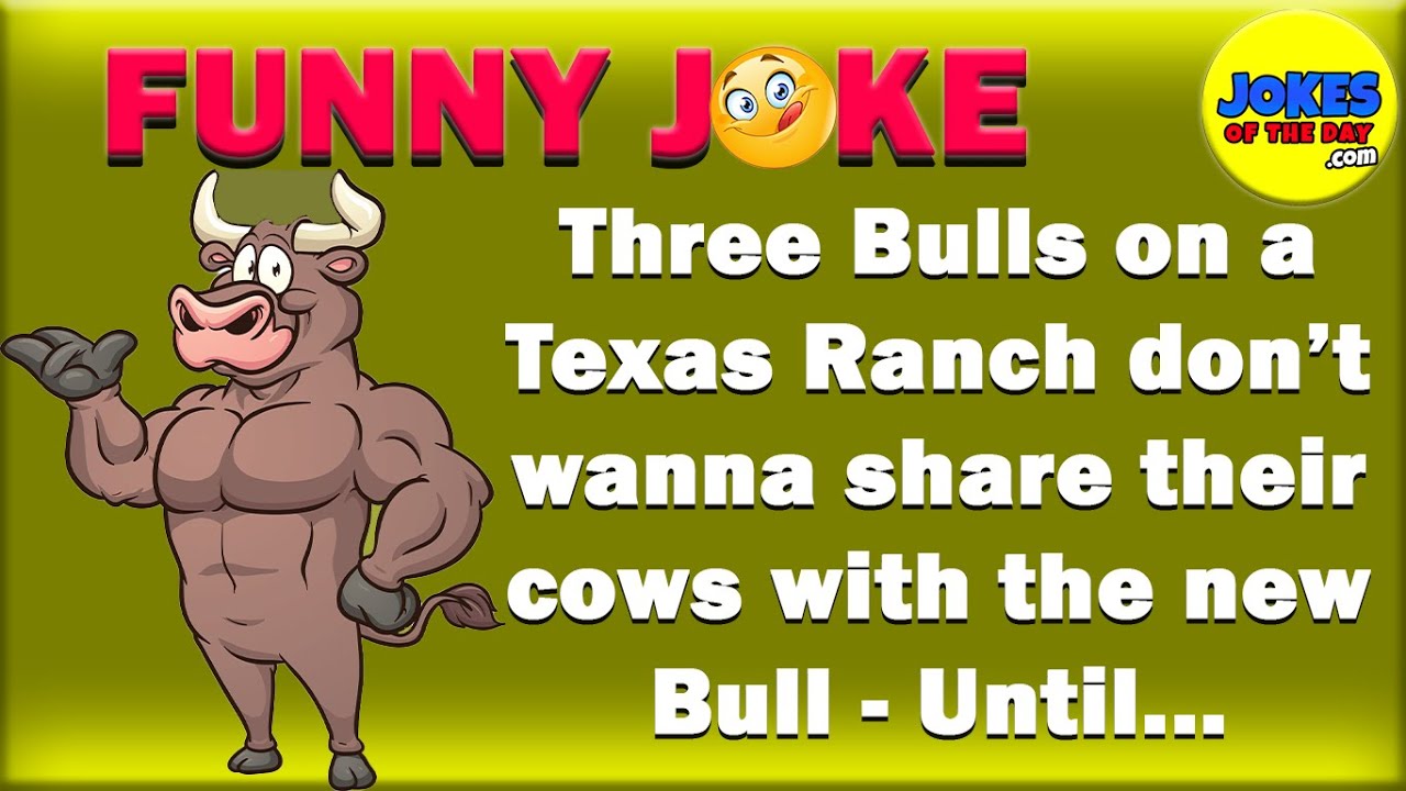 Funny Joke: Three Bulls on a Texas Ranch don’t wanna share their cows with the new Bull - Until...