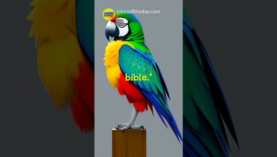 #jokesoftheday | A man enters a petshop and see's a very expensive parrot | #jokevideo #humor #lol