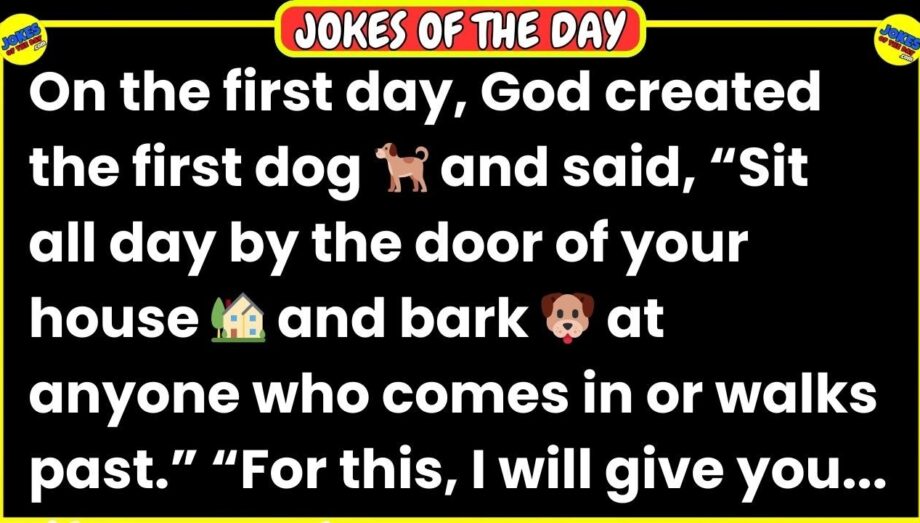 🤣 𝗝𝗢𝗞𝗘 𝗢𝗙 𝗧𝗛𝗘 𝗗𝗔𝗬! 👉 Life According to God's Plan: The Dog, The Monkey, The Cow... 🐕🐒🐄👨 𝙁𝙪𝙣𝙣𝙮 𝙅𝙤𝙠𝙚𝙨