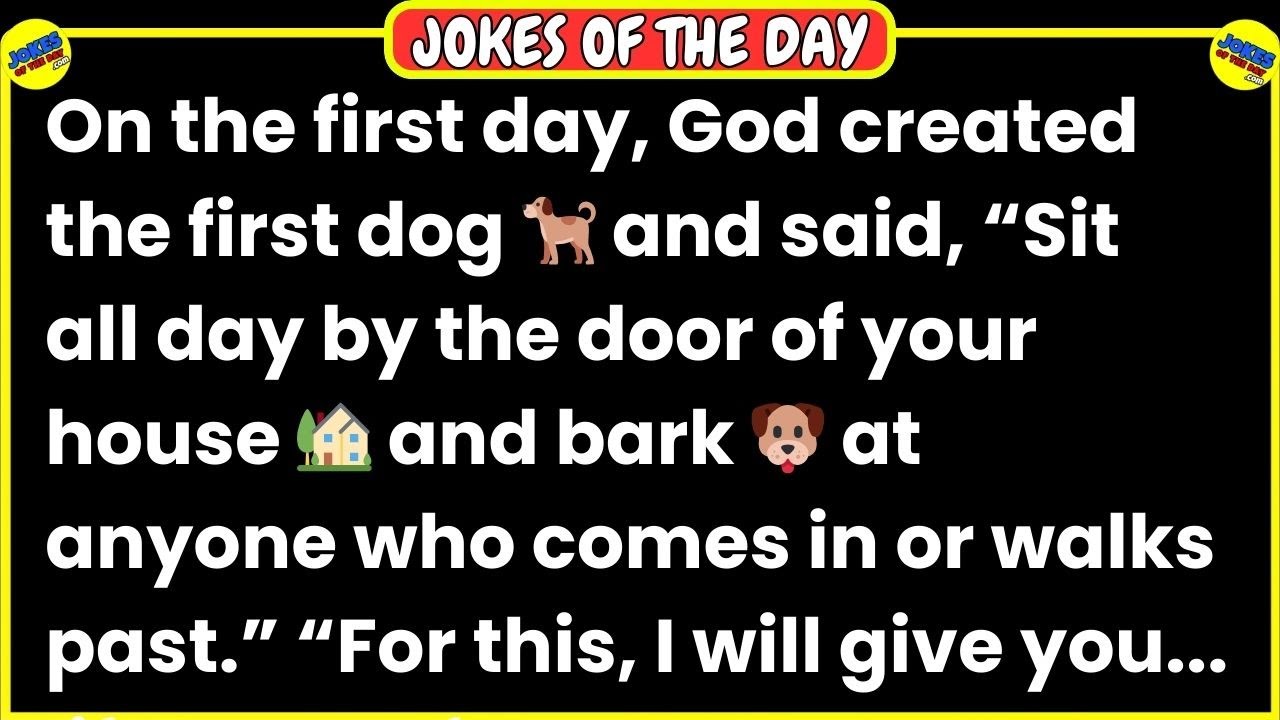 🤣 𝗝𝗢𝗞𝗘 𝗢𝗙 𝗧𝗛𝗘 𝗗𝗔𝗬! 👉 Life According to God's Plan: The Dog, The Monkey, The Cow... 🐕🐒🐄👨 𝙁𝙪𝙣𝙣𝙮 𝙅𝙤𝙠𝙚𝙨